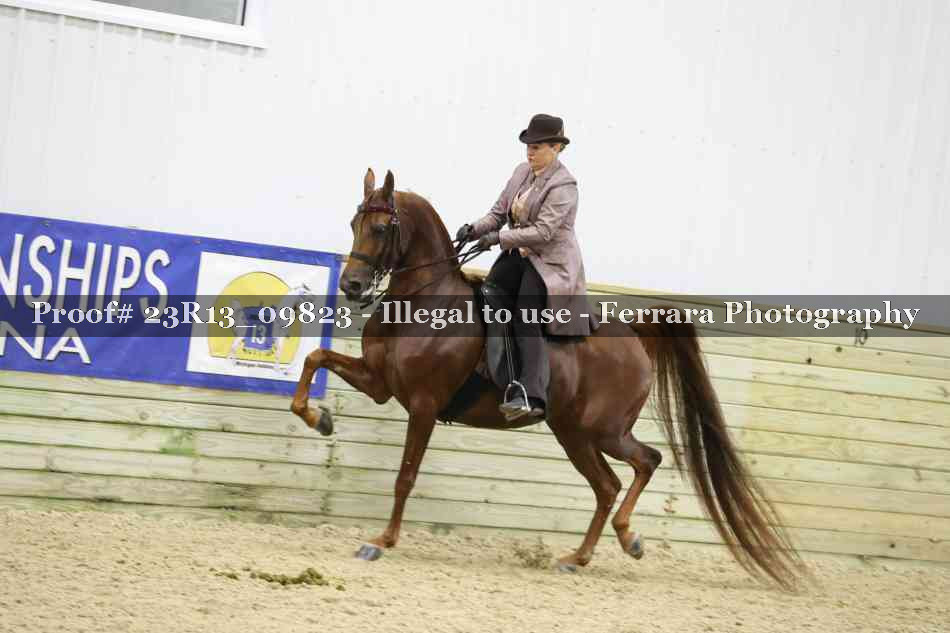 Proof 23R13_09823