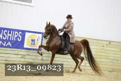 23R13_09823 proof