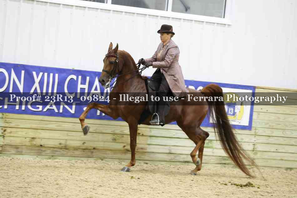 Proof 23R13_09824