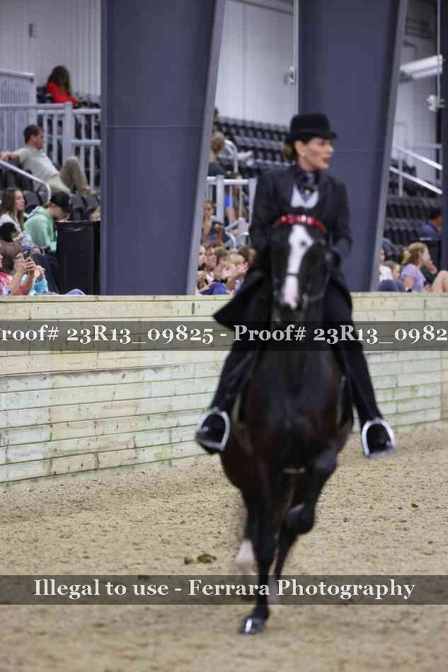 Proof 23R13_09825