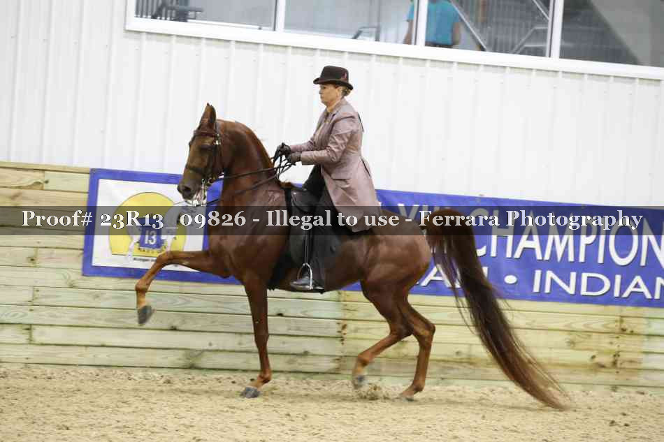 Proof 23R13_09826