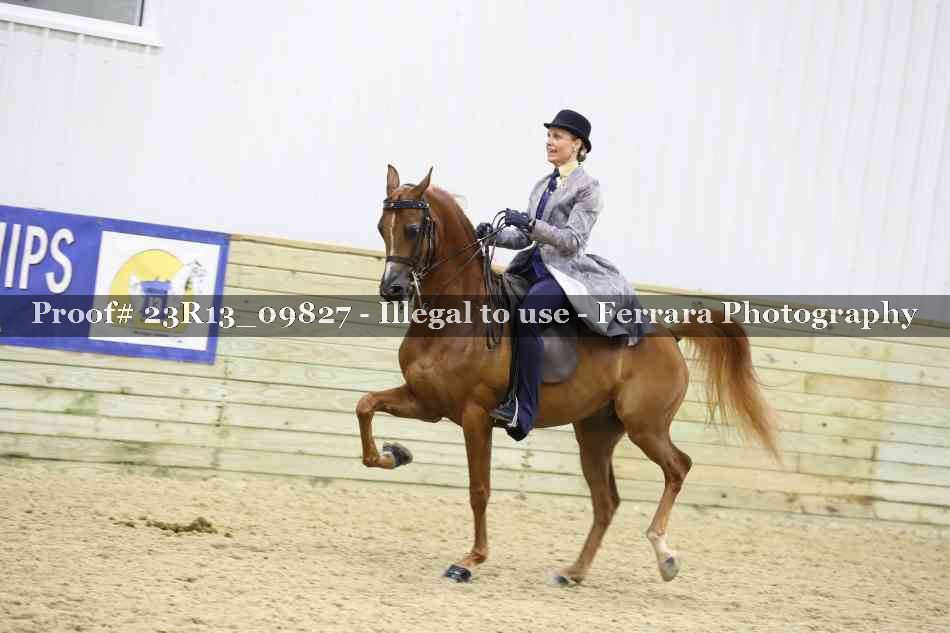 Proof 23R13_09827