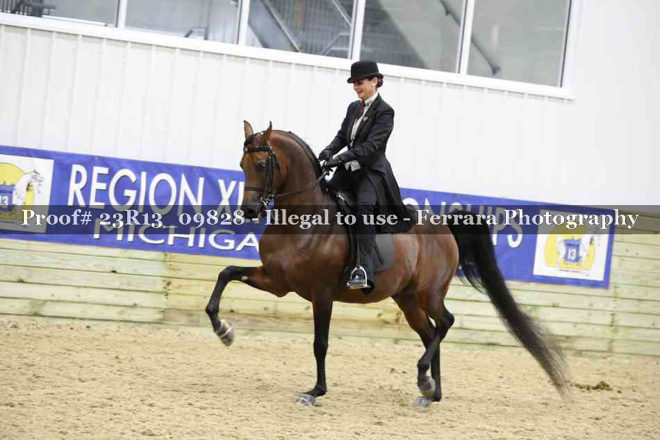 Proof 23R13_09828