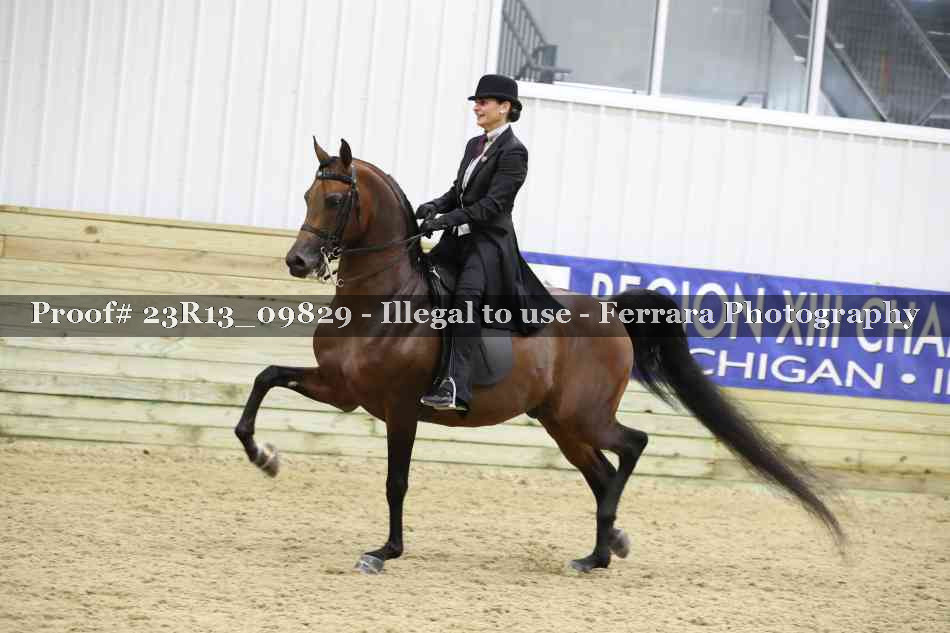 Proof 23R13_09829