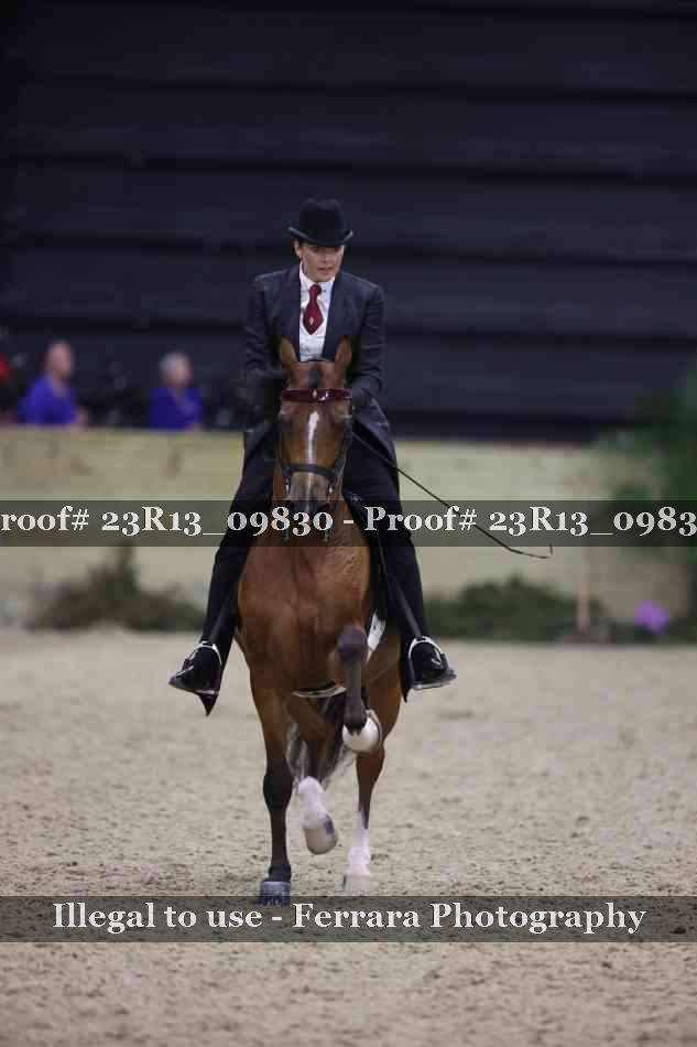 Proof 23R13_09830