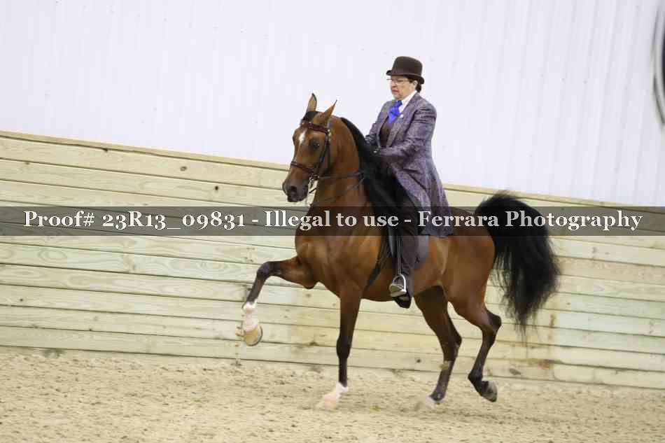 Proof 23R13_09831