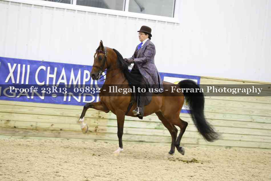 Proof 23R13_09832