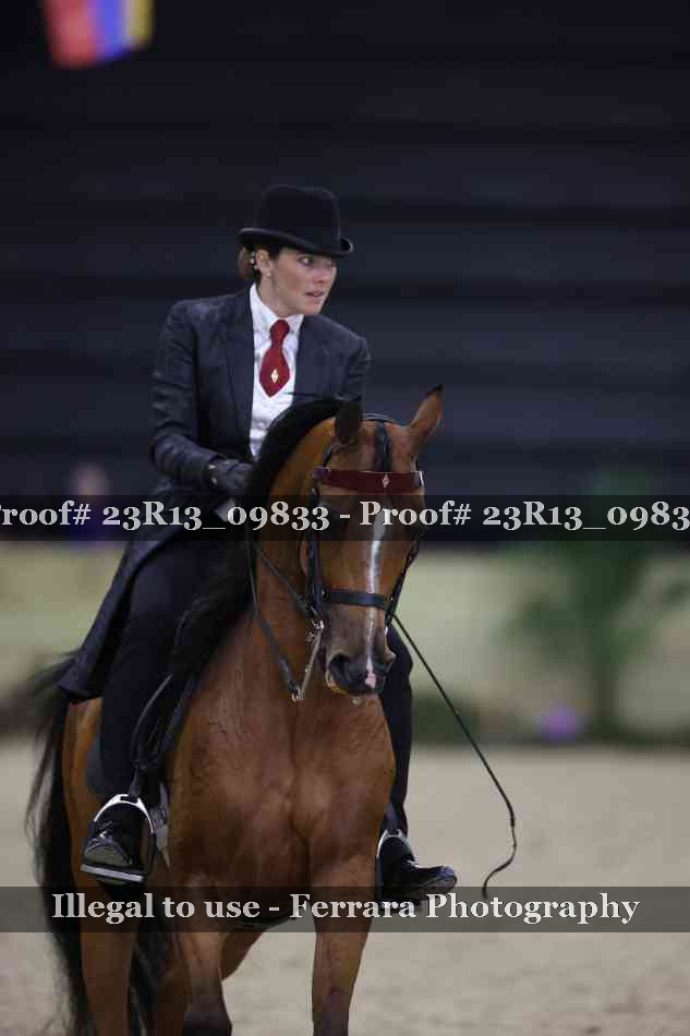 Proof 23R13_09833