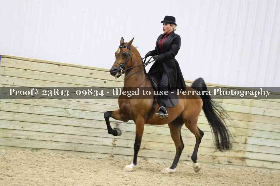 Proof 23R13_09834