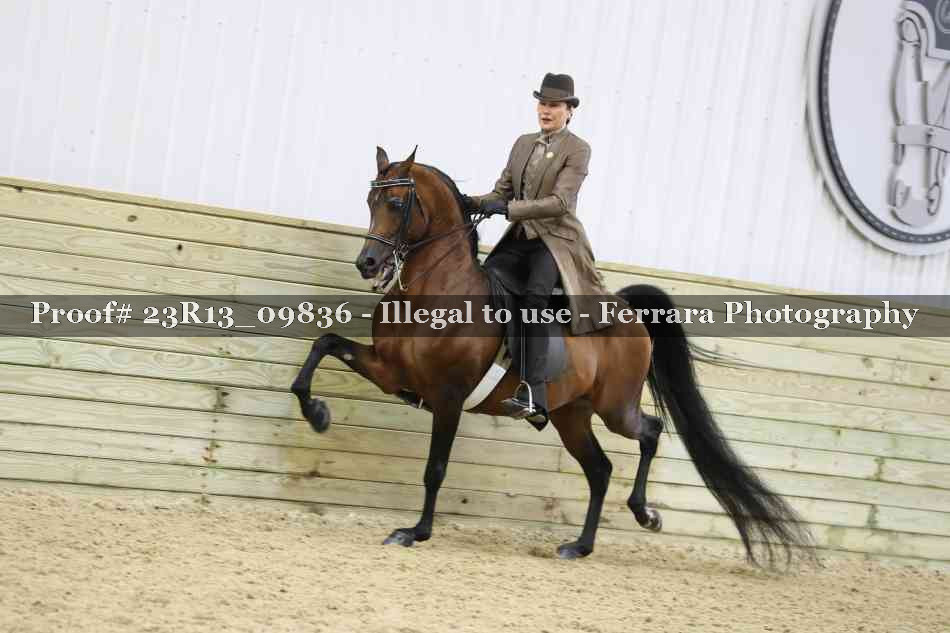 Proof 23R13_09836