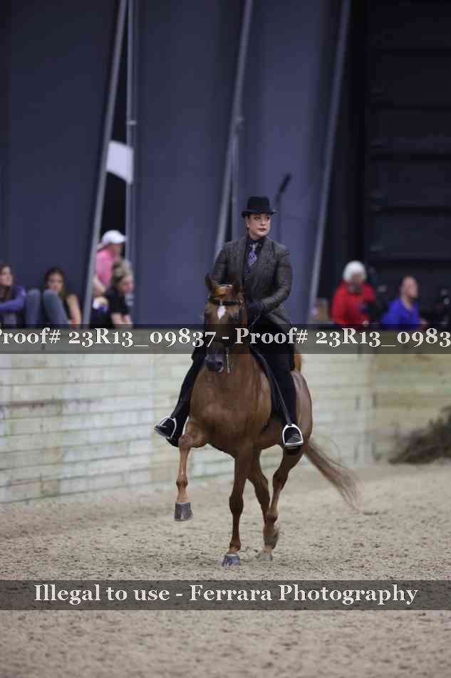 Proof 23R13_09837
