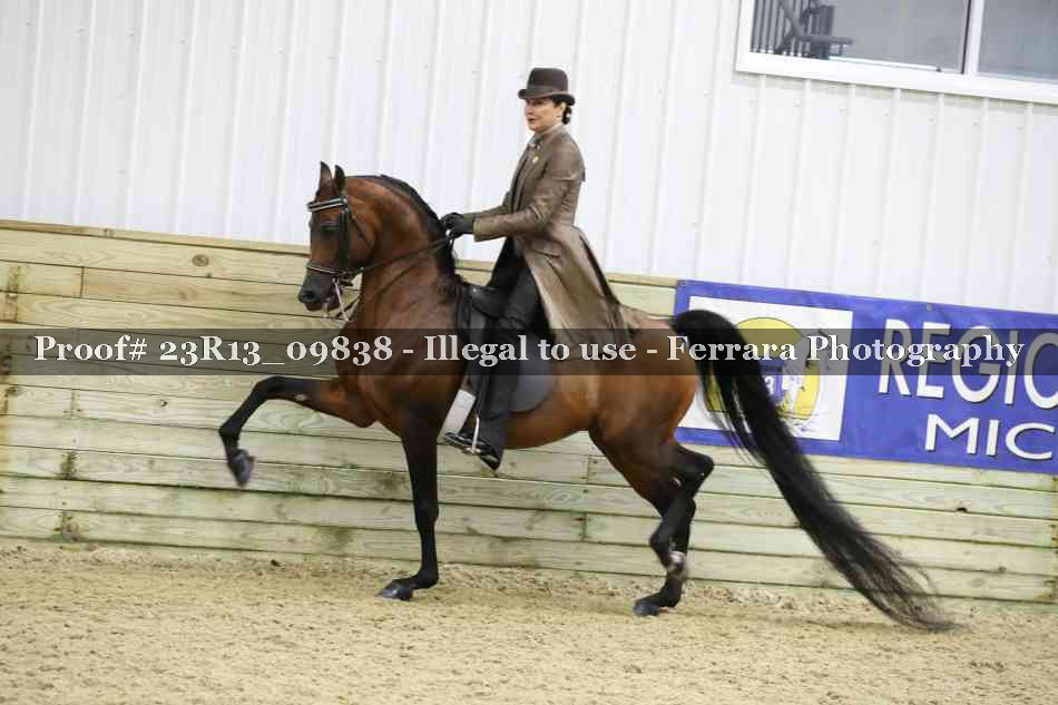 Proof 23R13_09838