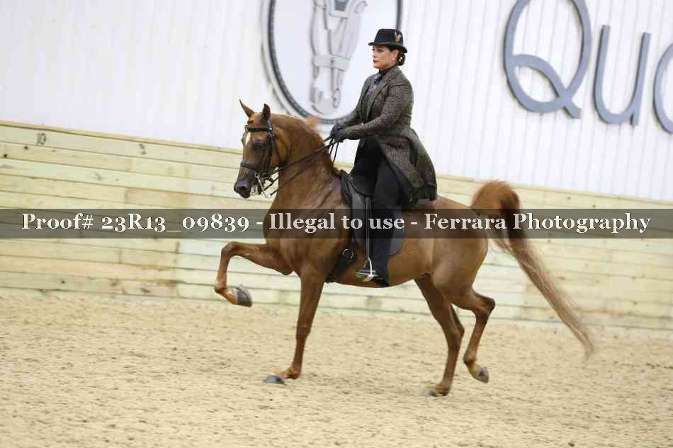 Proof 23R13_09839