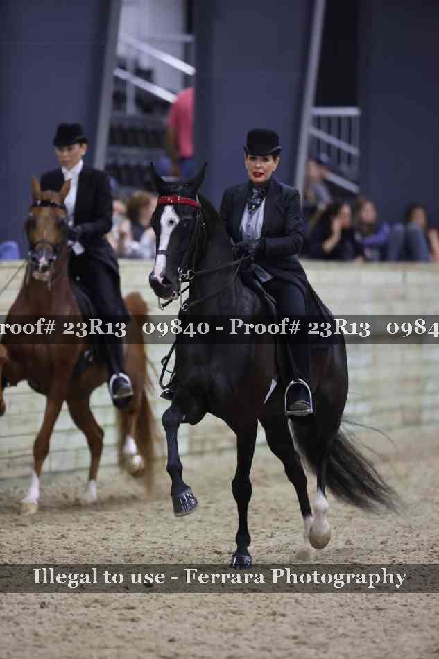 Proof 23R13_09840
