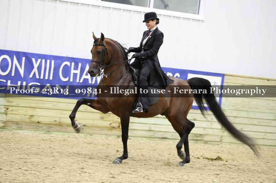 Proof 23R13_09841