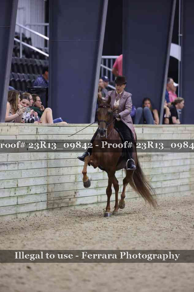 Proof 23R13_09842