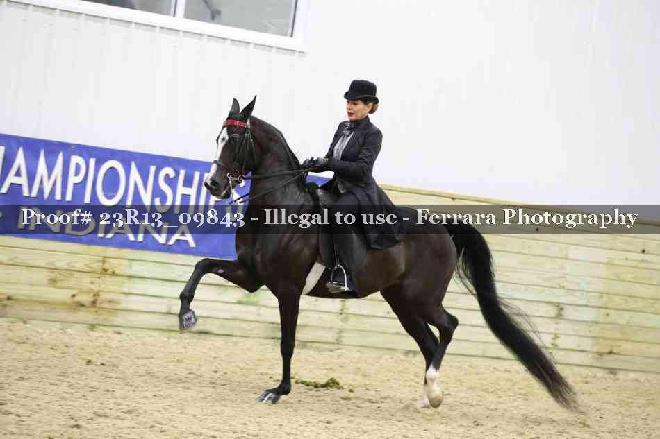 Proof 23R13_09843