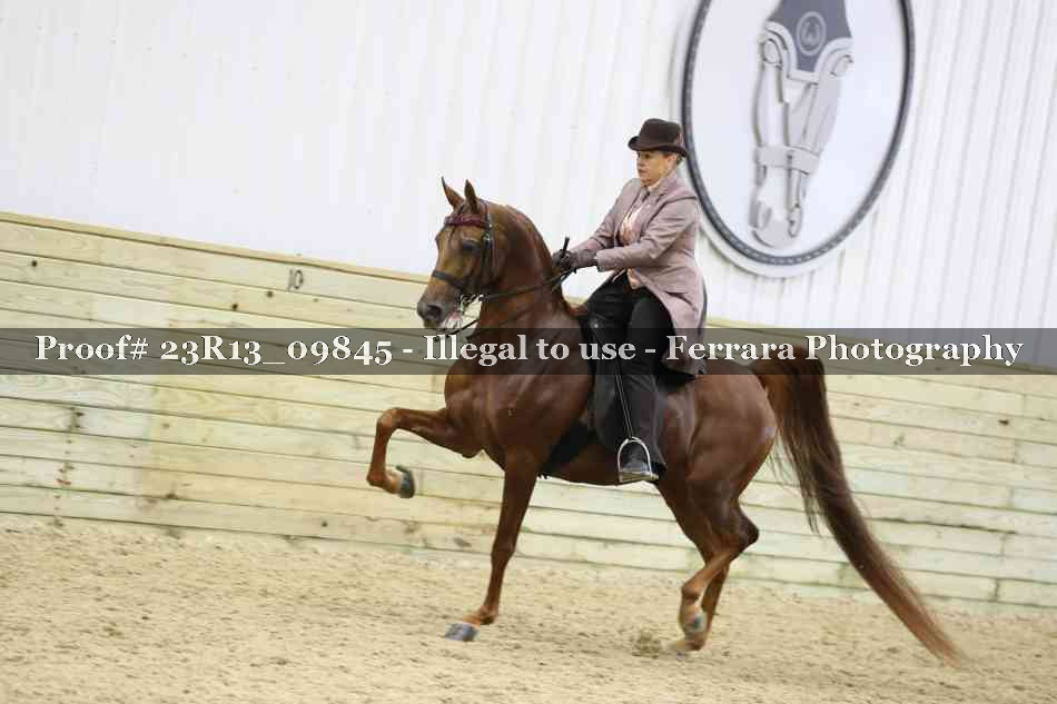 Proof 23R13_09845