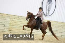 23R13_09845 proof