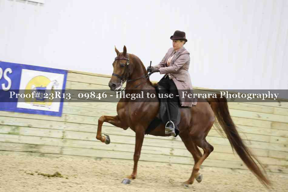Proof 23R13_09846