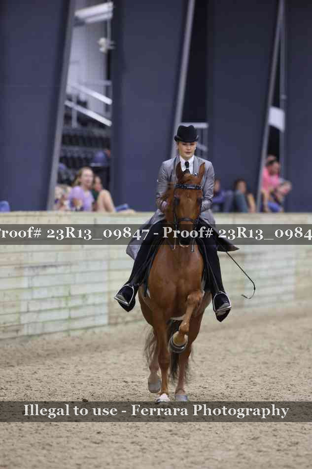 Proof 23R13_09847