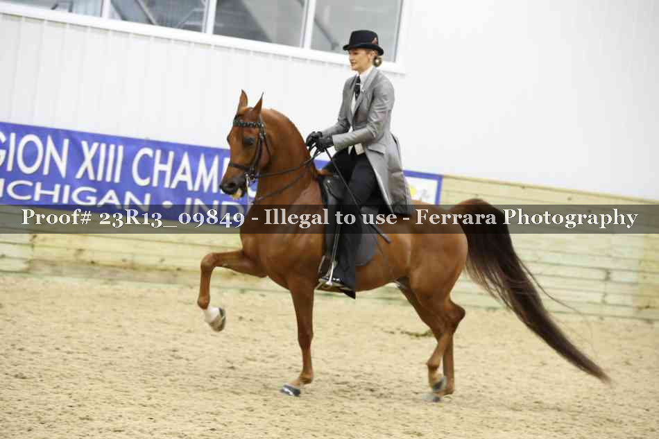 Proof 23R13_09849