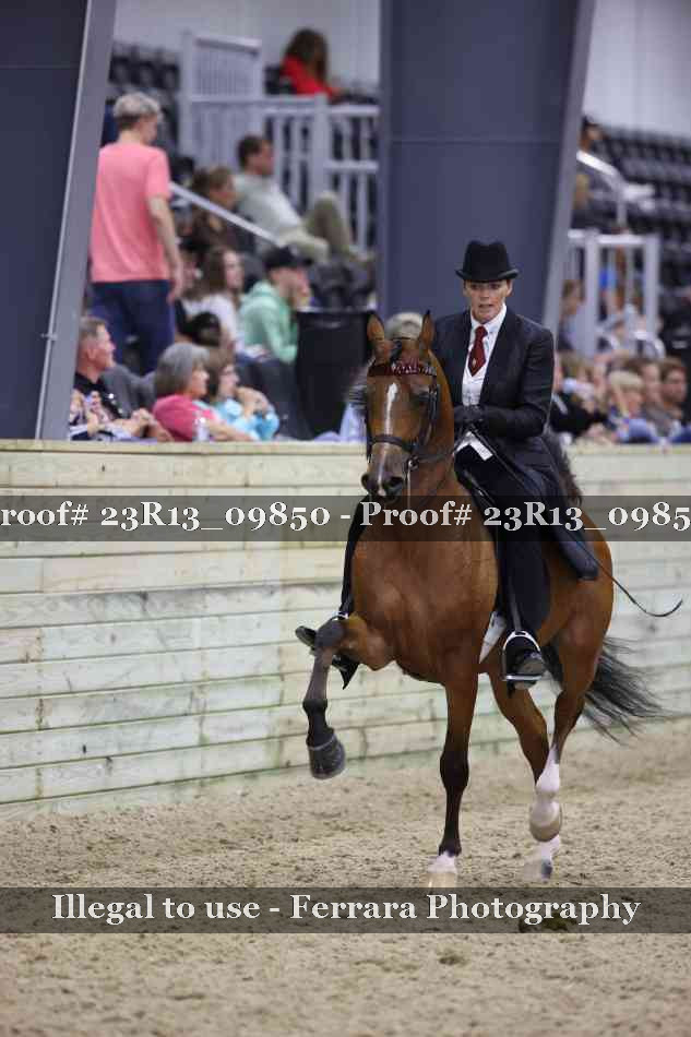 Proof 23R13_09850