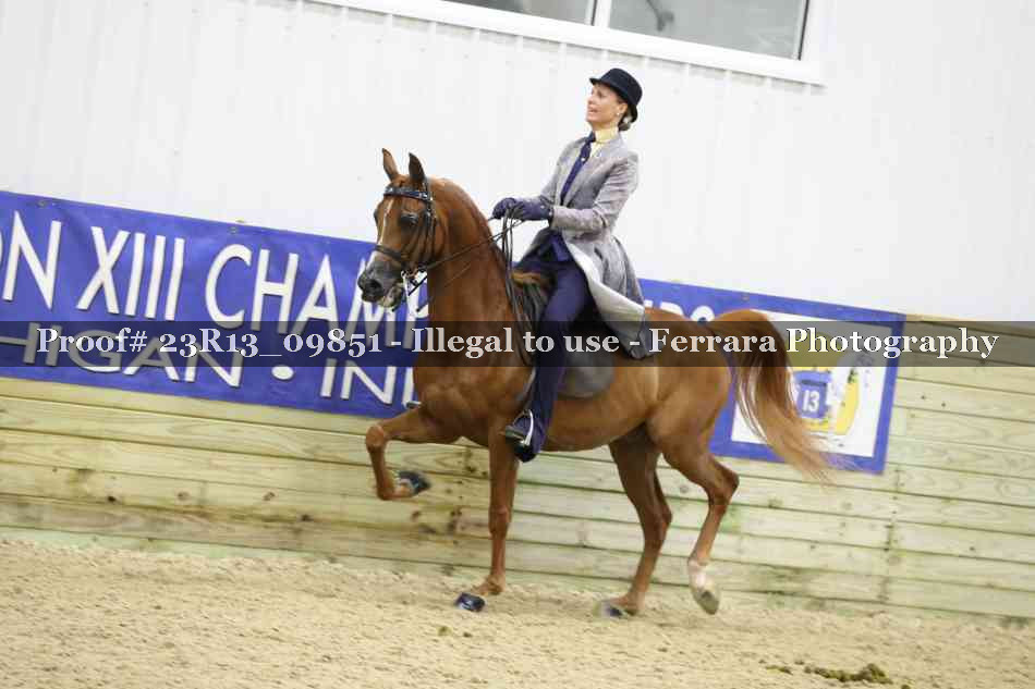 Proof 23R13_09851