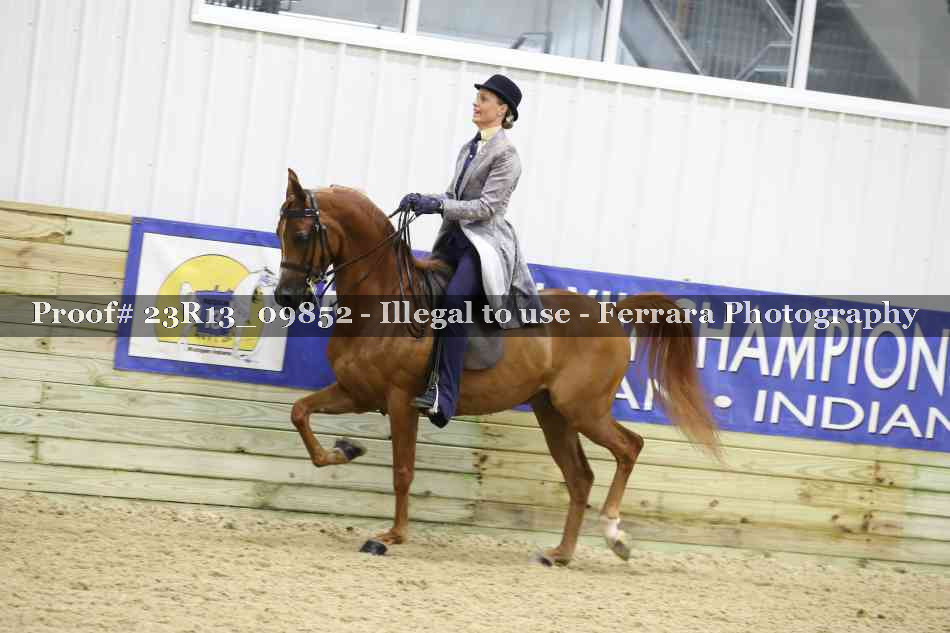 Proof 23R13_09852
