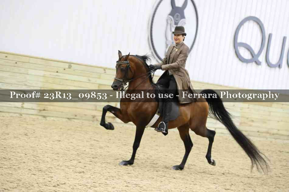 Proof 23R13_09853