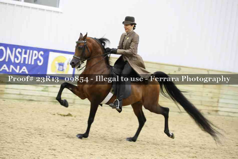 Proof 23R13_09854