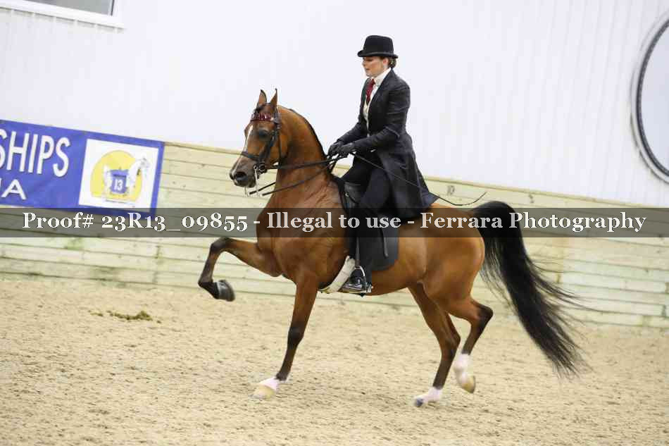 Proof 23R13_09855