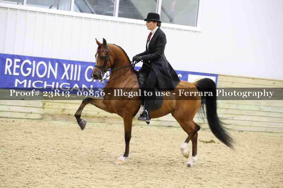 Proof 23R13_09856