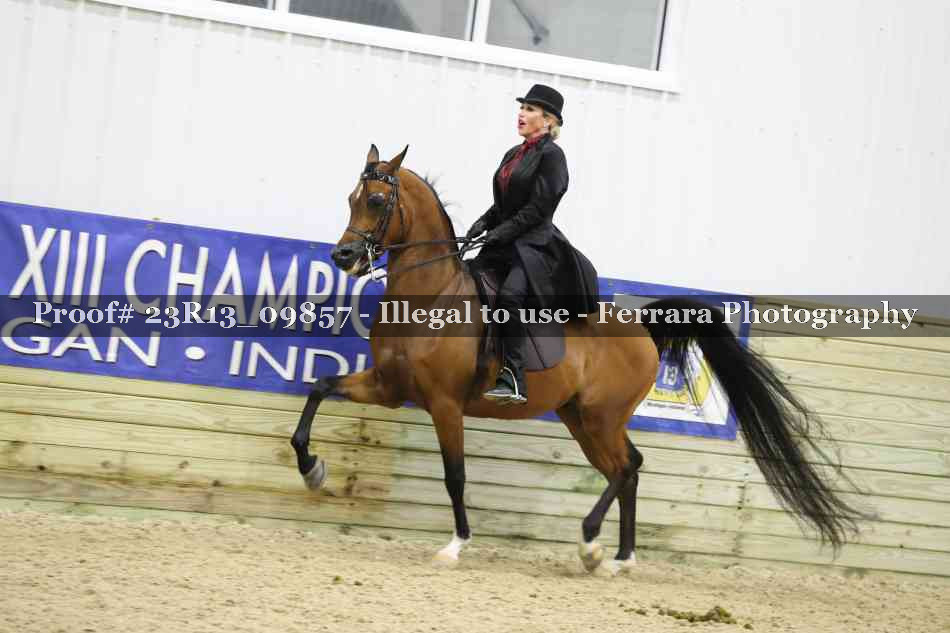 Proof 23R13_09857