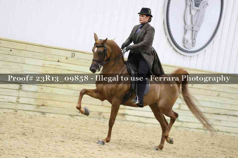 Proof 23R13_09858