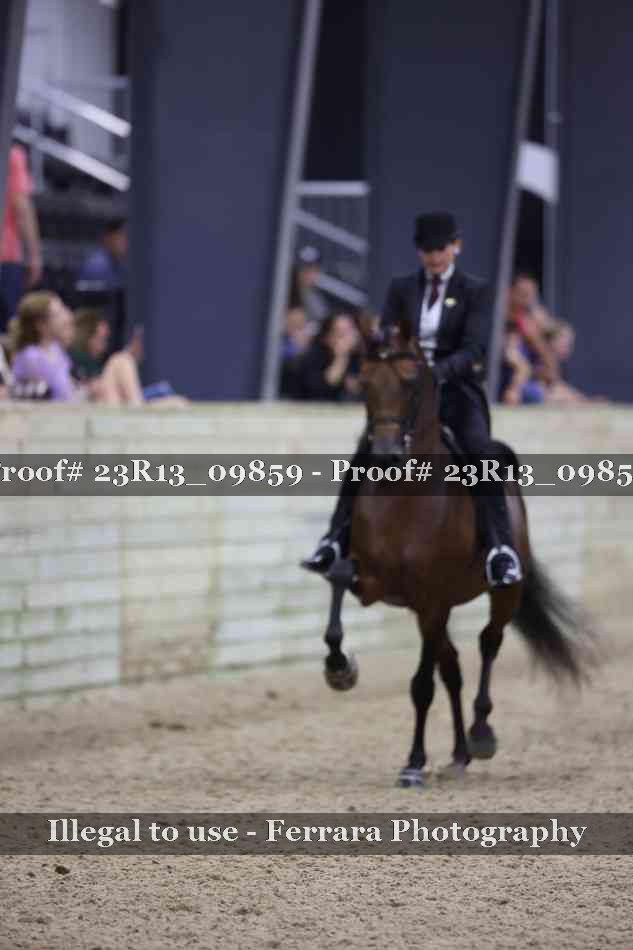 Proof 23R13_09859