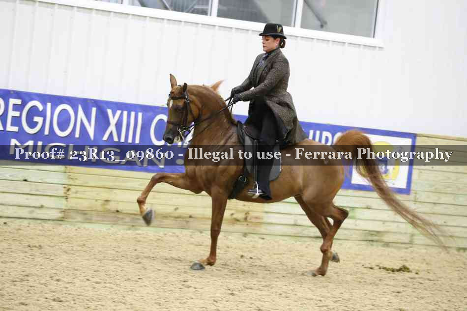 Proof 23R13_09860