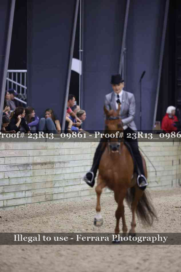 Proof 23R13_09861
