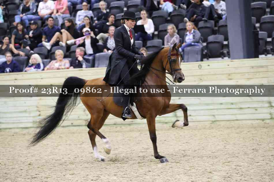 Proof 23R13_09862