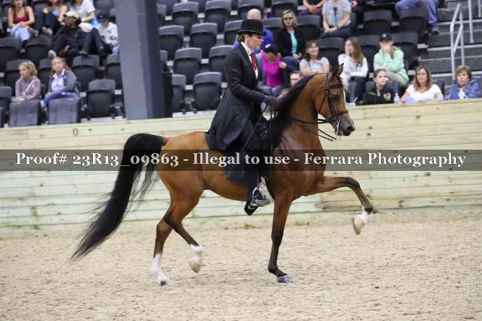 Proof 23R13_09863