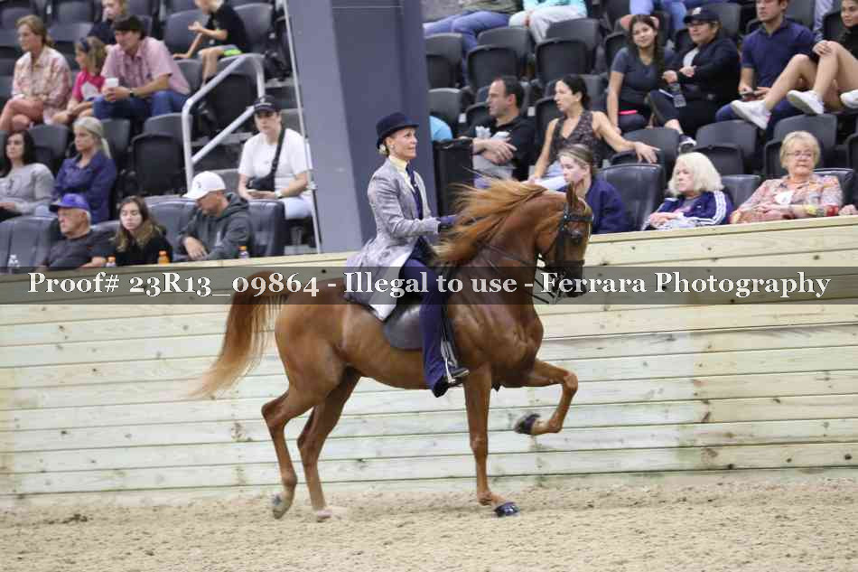 Proof 23R13_09864