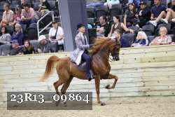 23R13_09864 proof