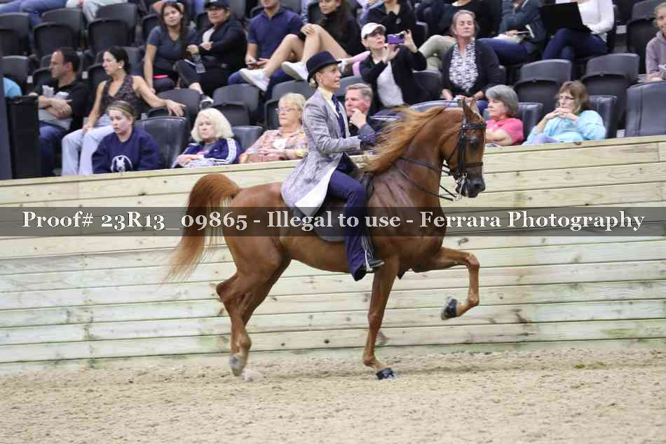 Proof 23R13_09865