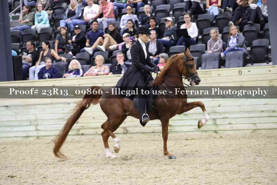 Proof 23R13_09866
