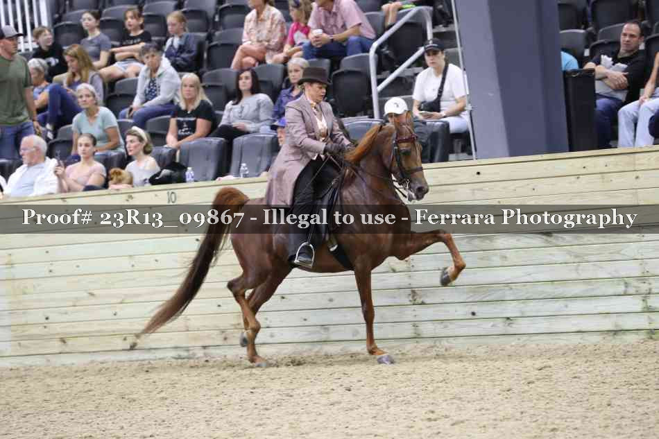 Proof 23R13_09867