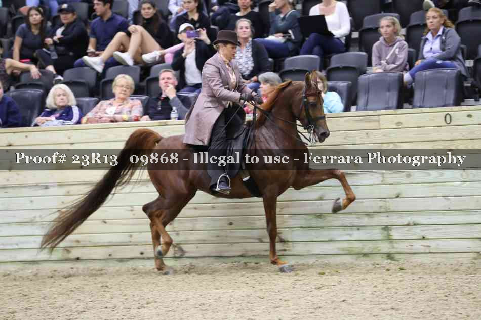 Proof 23R13_09868