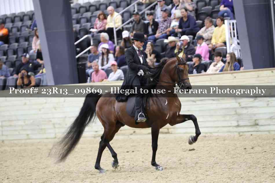 Proof 23R13_09869