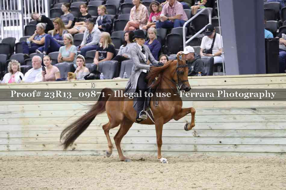 Proof 23R13_09871