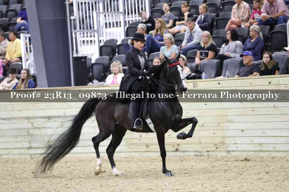 Proof 23R13_09873