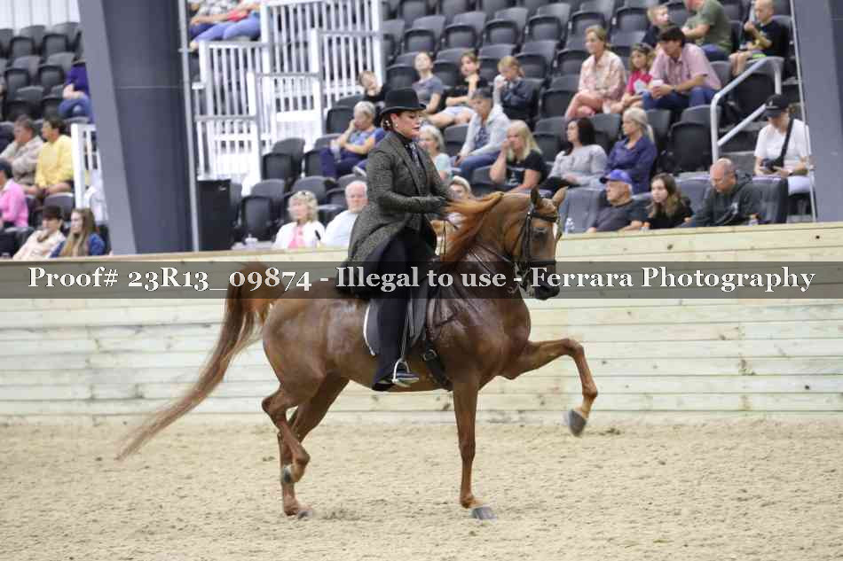 Proof 23R13_09874